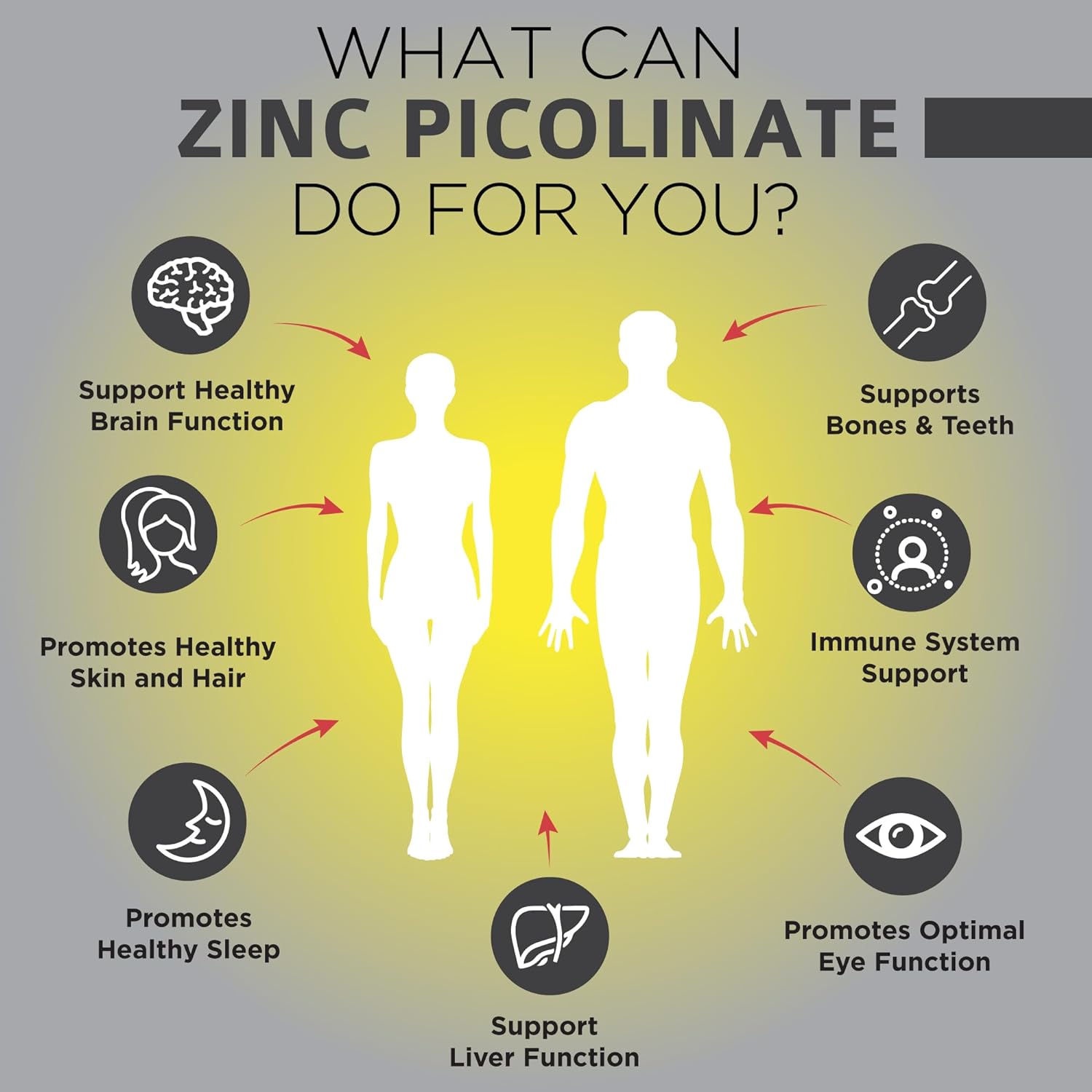Infographic titled “What can Zinc Picolinate do for you?” with male and female silhouettes on a yellow gradient.