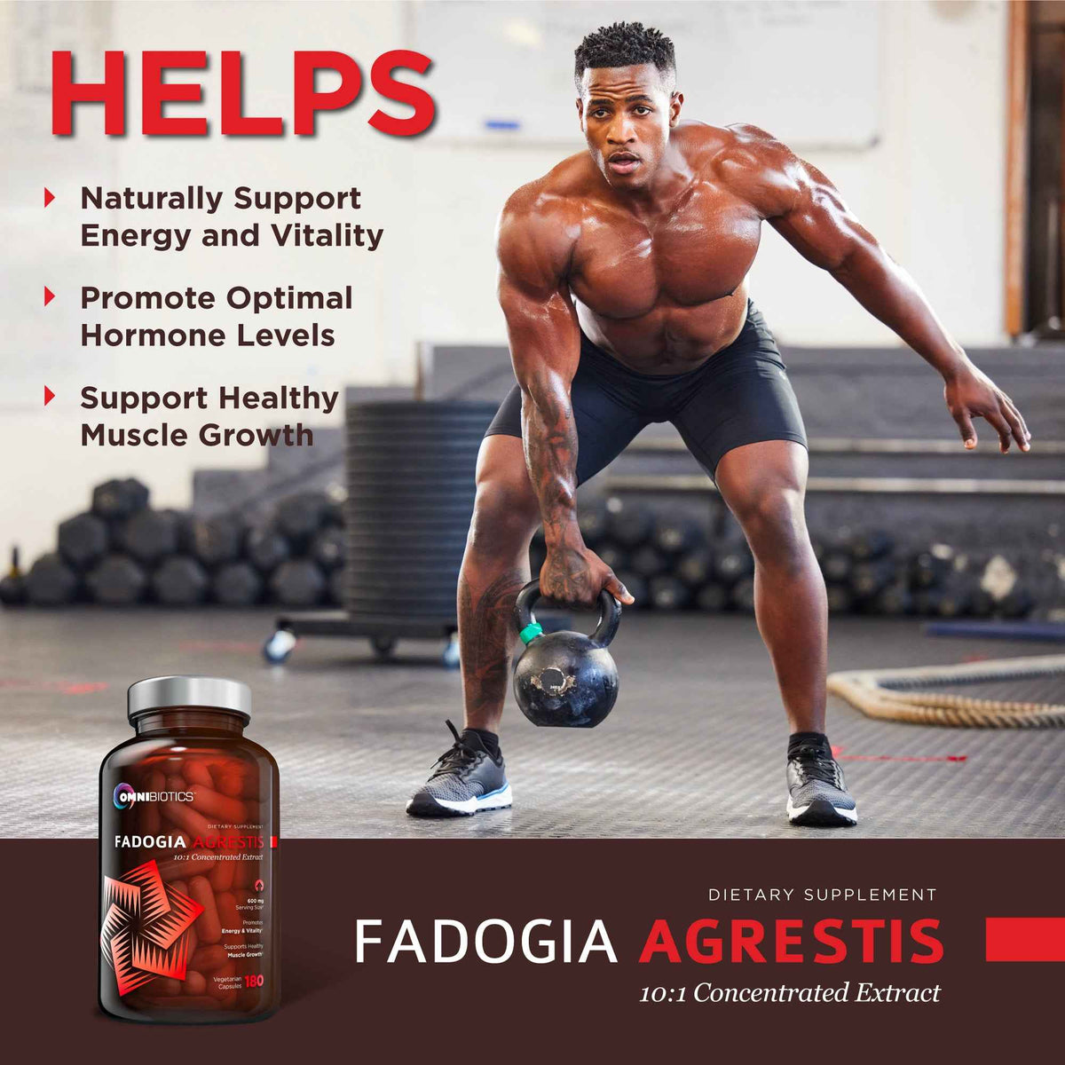 Fadogia Agrestis Supplement - 10:1 Concentrated Extract