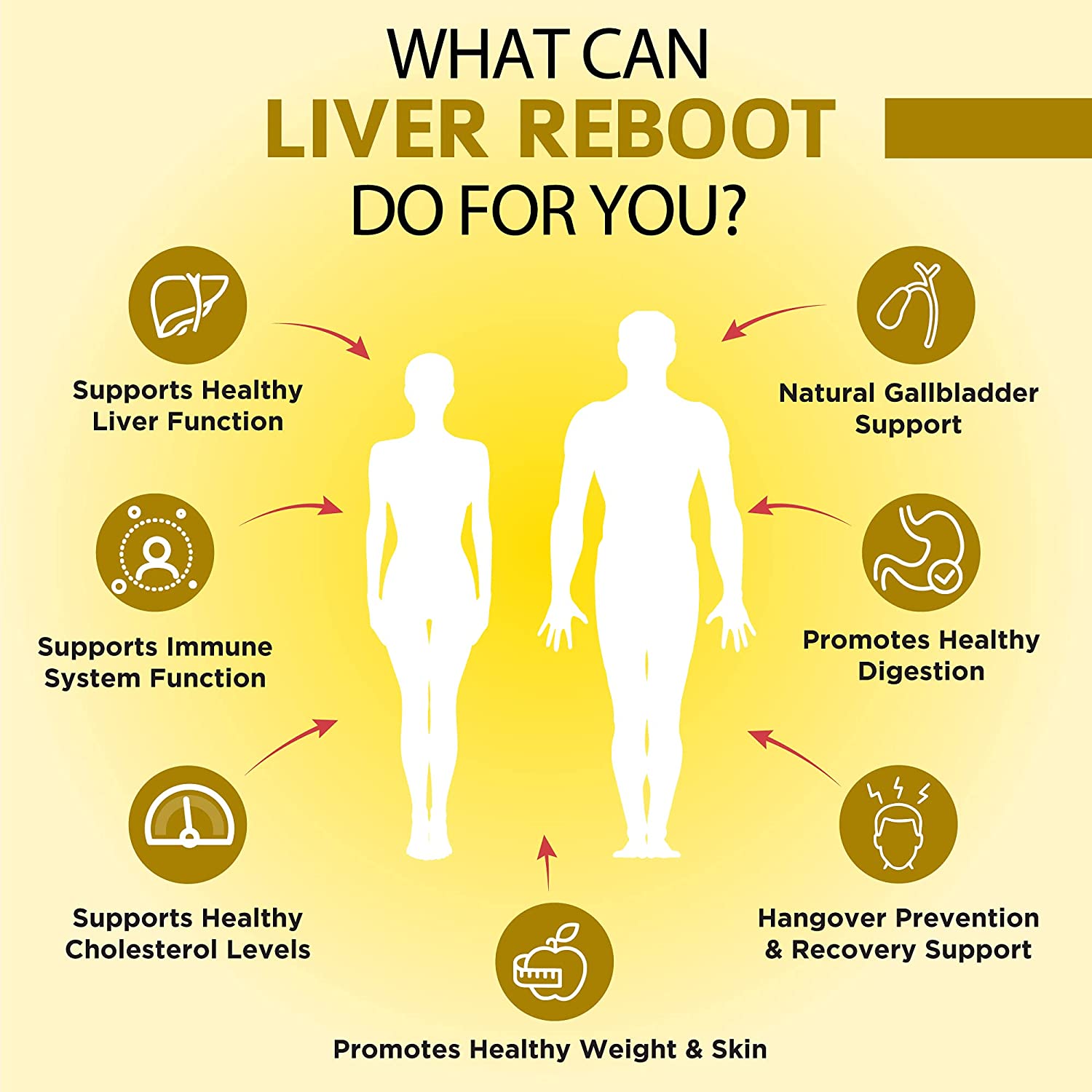 Infographic: “What can Liver Reboot do for you?”—liver & gallbladder support, healthy digestion, immune & cholesterol support, hangover recovery, and promotes healthy weight & skin.