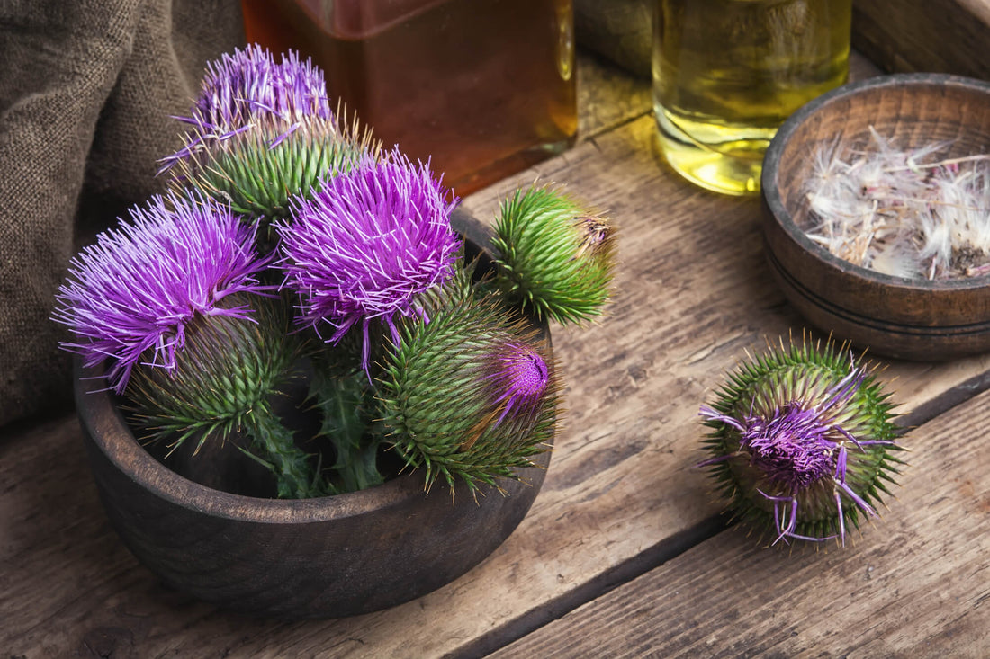 9 Clinically Proven Supplements to Support the Liver