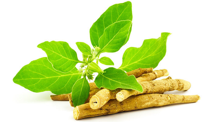 What Does Ashwagandha Do?