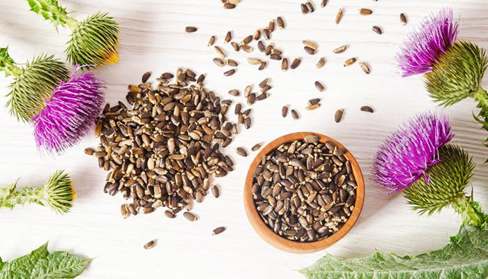 What_Is_Milk_Thistle_Good_For