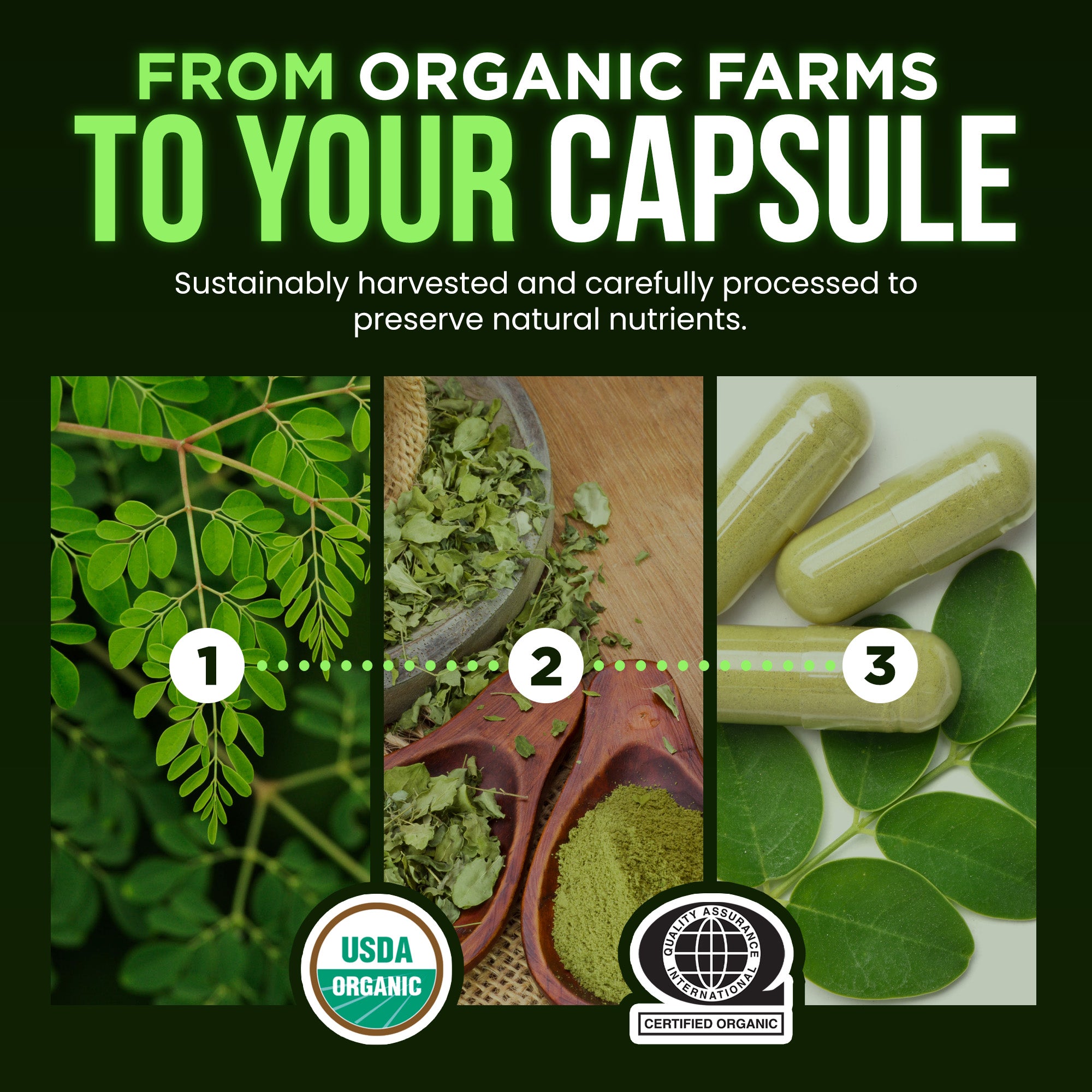 Organic Moringa