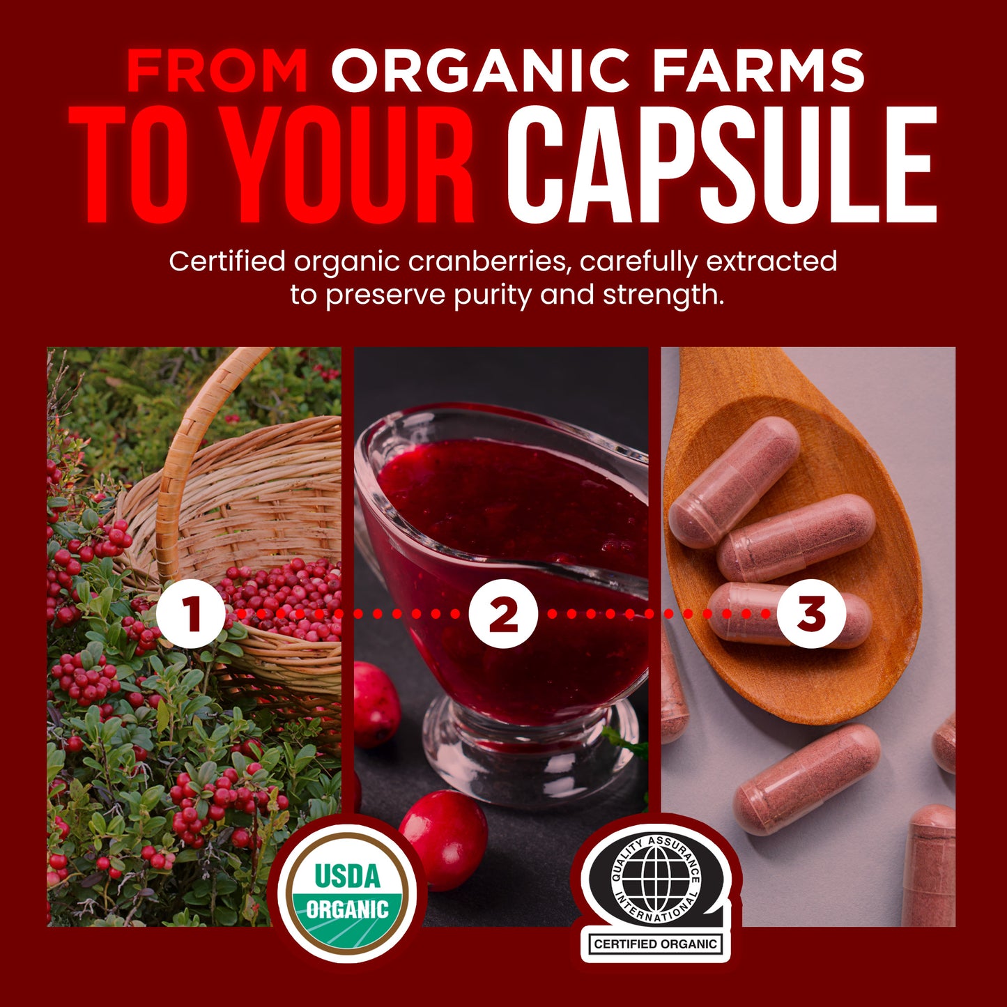 Organic Cranberry