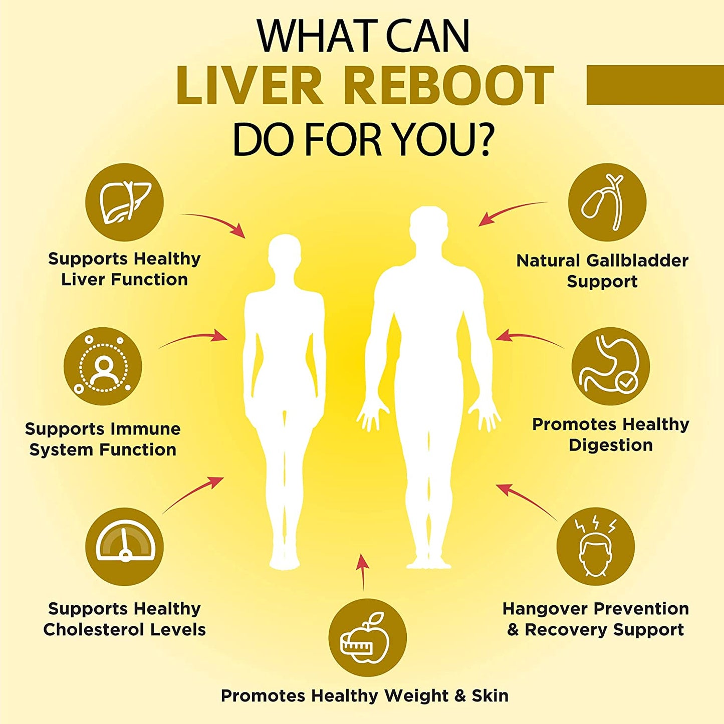Infographic: “What can Liver Reboot do for you?”—liver & gallbladder support, healthy digestion, immune & cholesterol support, hangover recovery, and promotes healthy weight & skin.